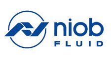 Чешский производитель NIOB FLUID смог отсудить доменное имя у нарушителя с помощью «Гардиума»