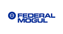 Federal-Mogul Powertrain
